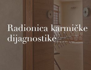 Radionica karmičke dijagnostike